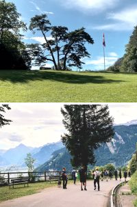 Aktuelles: Büroausflug 2025