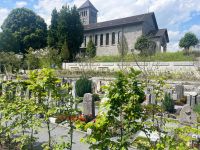 Aktuelles: Friedhof Rotkreuz